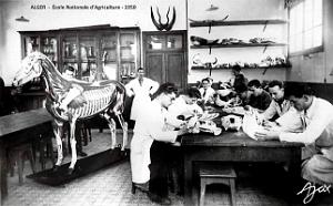 Alger - Ecole Nationale d'Agriculture - 1950